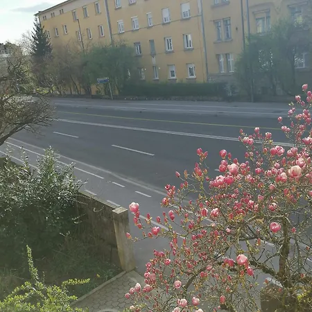 Lägenhet Pirc On Dunajska Street