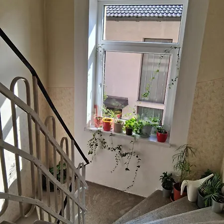 Apartment Pirc On Dunajska Street