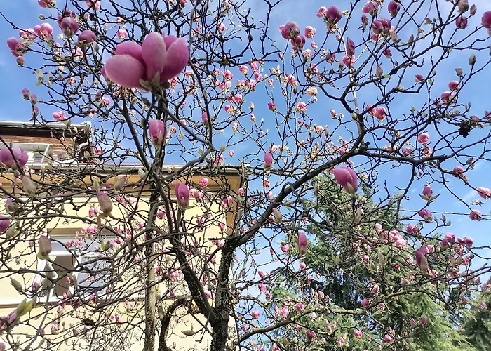 Pirc On Dunajska Street * Ljubljana